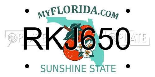 RKJ650 Florida License Plate