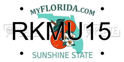 RKMU15 Florida License Plate