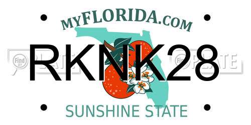 RKNK28 Florida License Plate