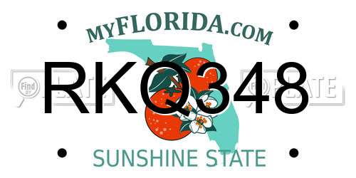 RKQ348 Florida License Plate