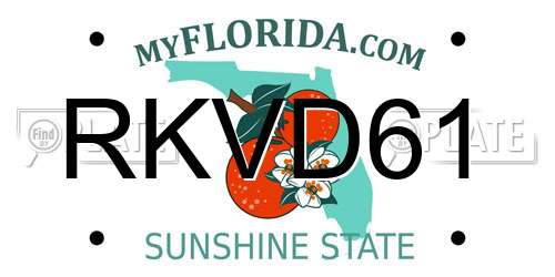 RKVD61 Florida License Plate
