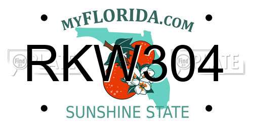 RKW304 Florida License Plate