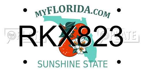 RKX823 Florida License Plate