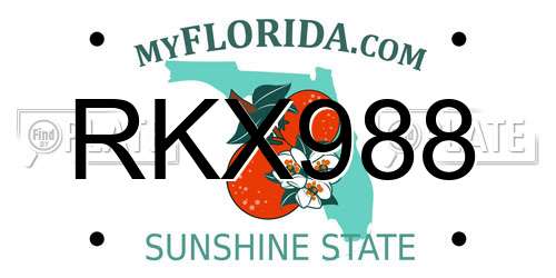 RKX988 Florida License Plate