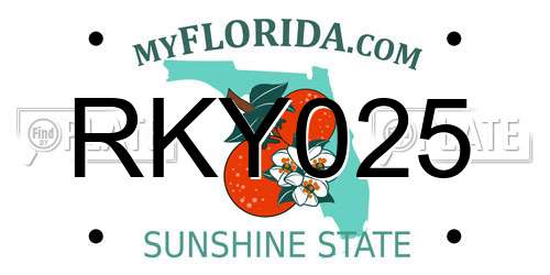 RKY025 Florida License Plate