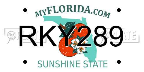 RKY289 Florida License Plate