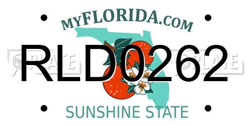 RLD0262 Florida License Plate