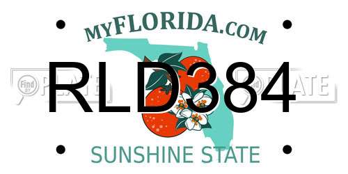 RLD384 Florida License Plate