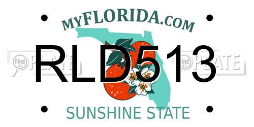 RLD513 Florida License Plate