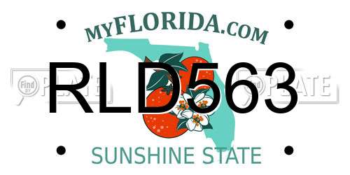 RLD563 Florida License Plate