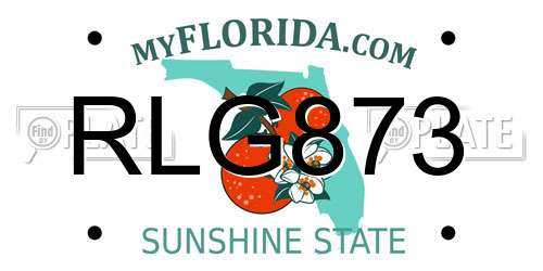 RLG873 Florida License Plate