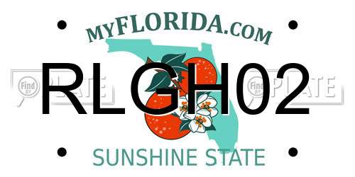 RLGH02 Florida License Plate