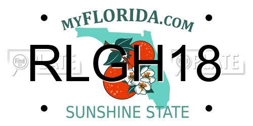 RLGH18 Florida License Plate