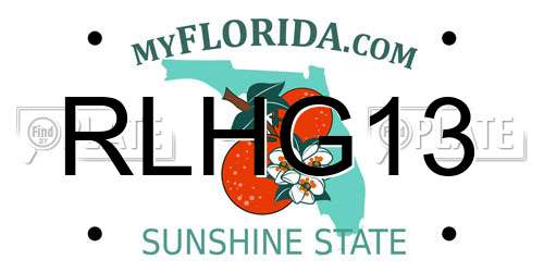 RLHG13 Florida License Plate