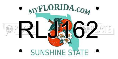RLJ162 Florida License Plate
