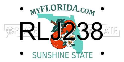 RLJ238 Florida License Plate