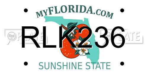 RLK236 Florida License Plate