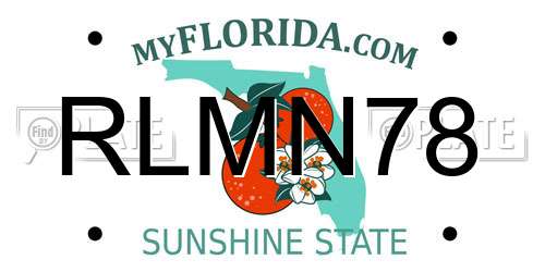 RLMN78 Florida License Plate