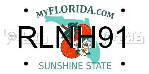 RLNH91 Florida License Plate