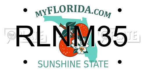 RLNM35 Florida License Plate