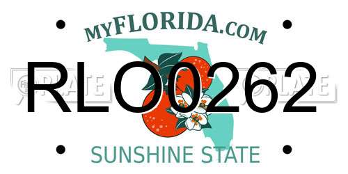 RLO0262 Florida License Plate