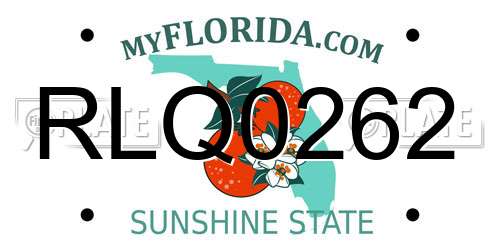 RLQ0262 Florida License Plate