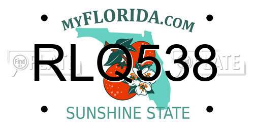 RLQ538 Florida License Plate