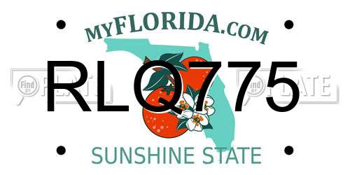 RLQ775 Florida License Plate