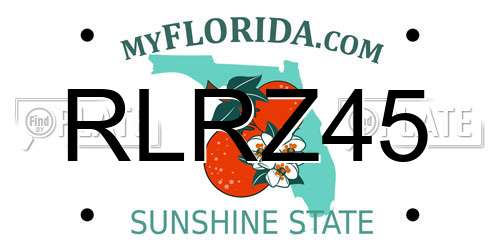 RLRZ45 Florida License Plate