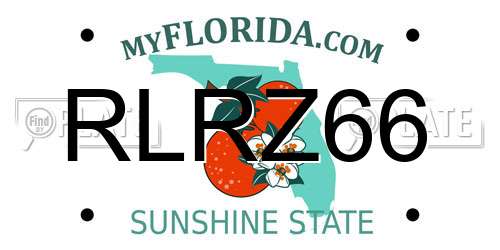 RLRZ66 Florida License Plate
