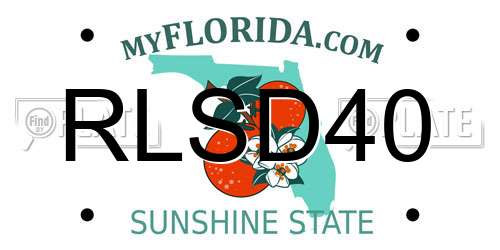RLSD40 Florida License Plate
