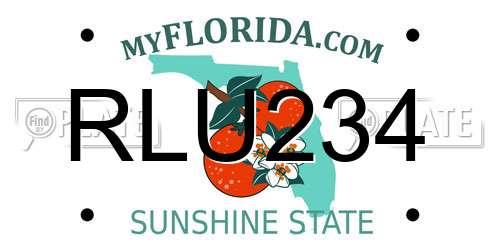 RLU234 Florida License Plate