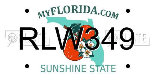 RLW349 Florida License Plate