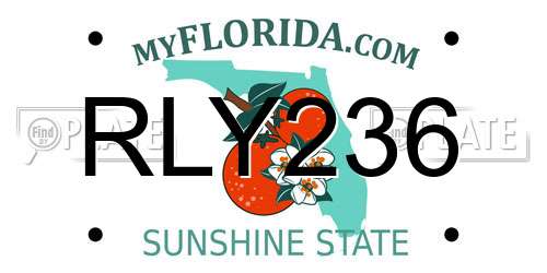RLY236 Florida License Plate