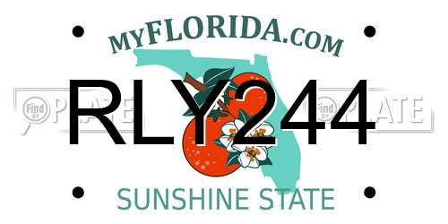 RLY244 Florida License Plate