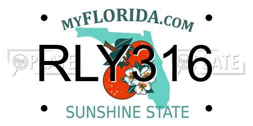 RLY316 Florida License Plate