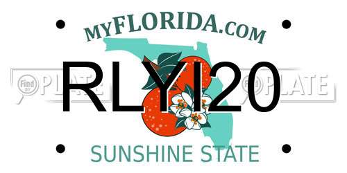 RLYI20 Florida License Plate