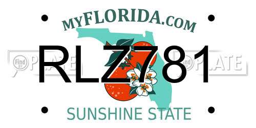 RLZ781 Florida License Plate