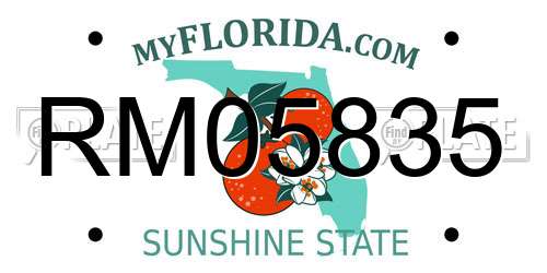 RM05835 Florida License Plate