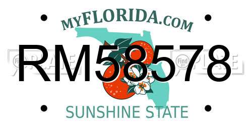 RM58578 Florida License Plate
