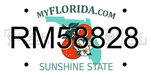 RM58828 Florida License Plate
