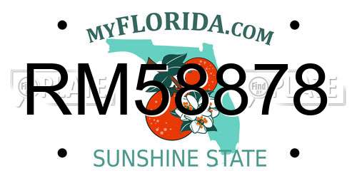 RM58878 Florida License Plate