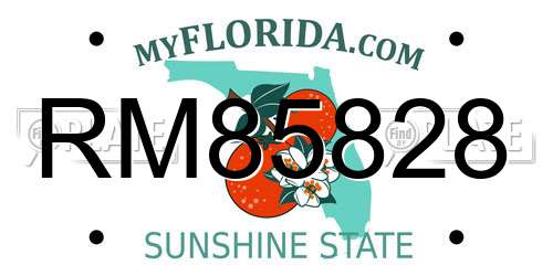 RM85828 Florida License Plate