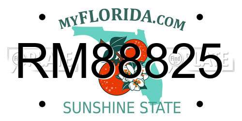 RM88825 Florida License Plate