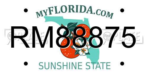 RM88875 Florida License Plate