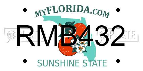 RMB432 Florida License Plate
