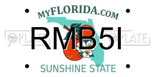 RMB5I Florida License Plate