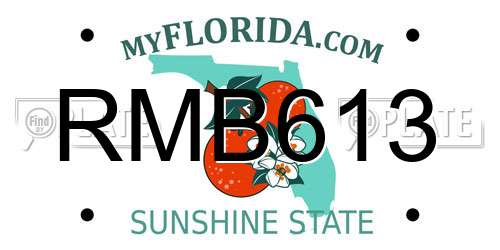 RMB613 Florida License Plate