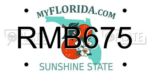 RMB675 Florida License Plate