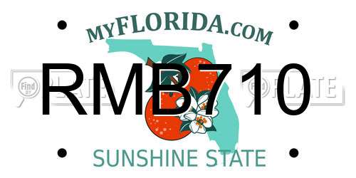 RMB710 Florida License Plate